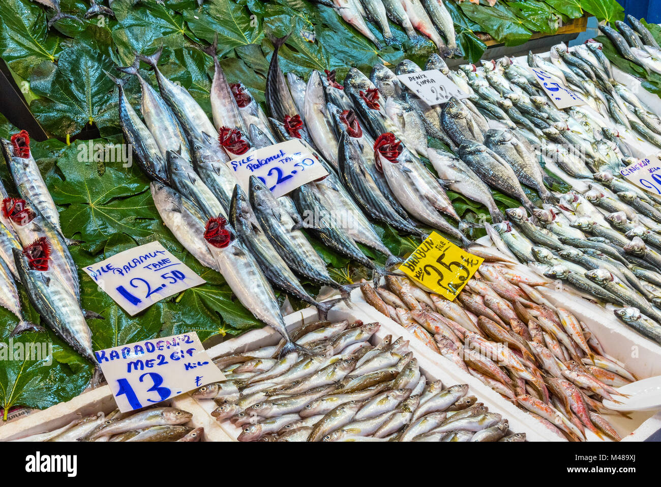 Mercado de pescado, con una gran oferta en Estambul, Turquía Foto de stock