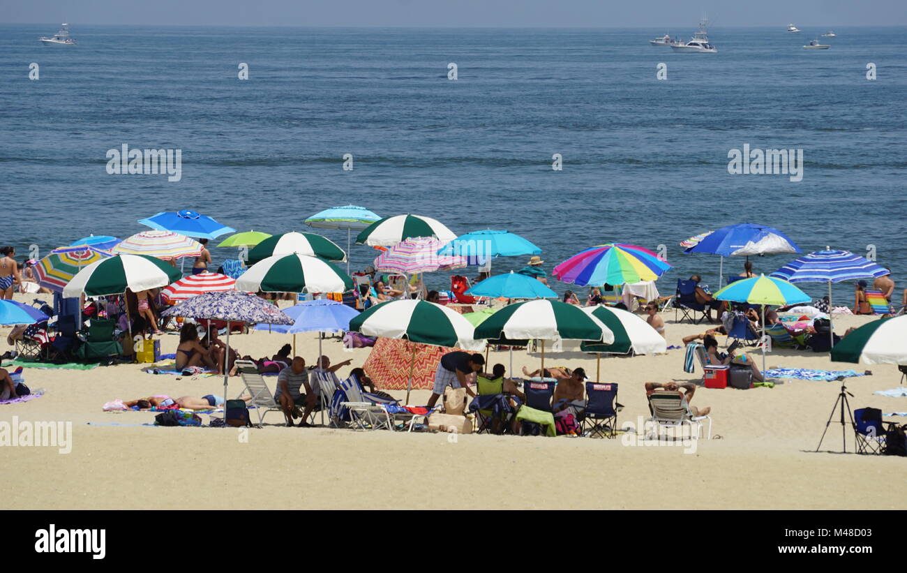 el tiempo para mañana en long branch new jersey