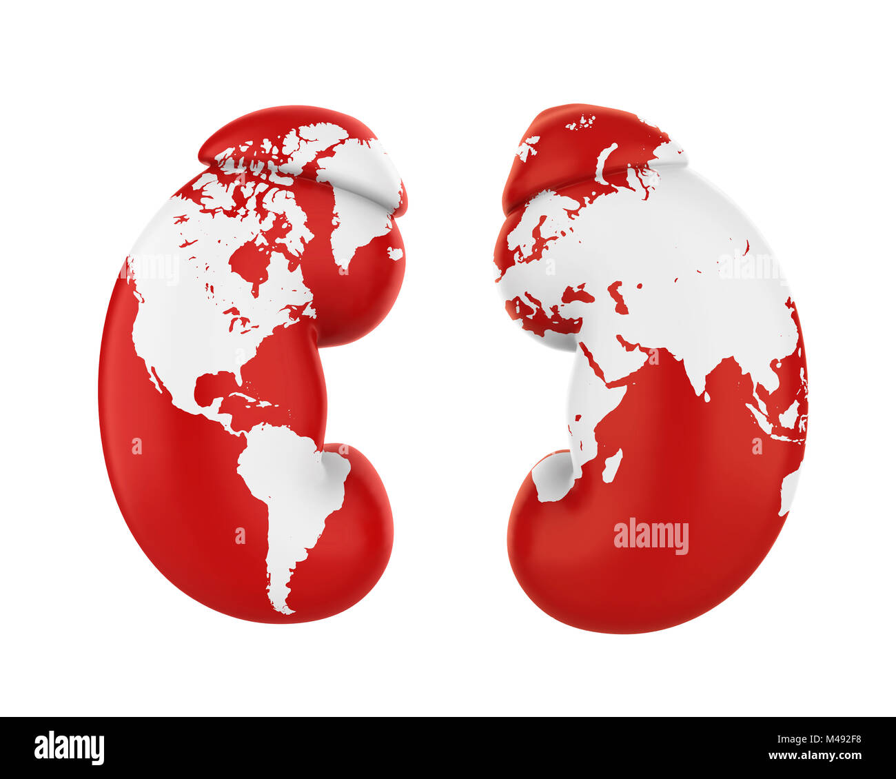 Derechos de los riñones con el mapa del mundo. Día Mundial del Riñón Concepto Foto de stock