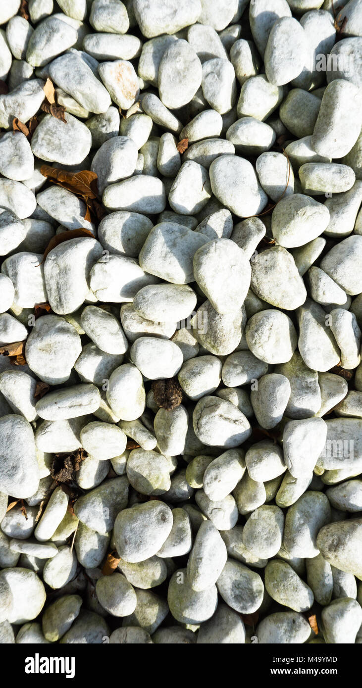 Piedras Blancas con superficie lisa Foto de stock