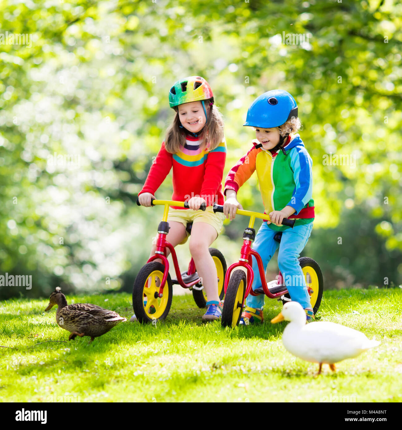 complejidad síndrome Deformar Los niños montando bicicleta de equilibrio. Niños en bicicleta en el parque  soleado. Niña y Niño ride glider moto el día de verano. El aprendizaje de  un niño en edad preescolar para