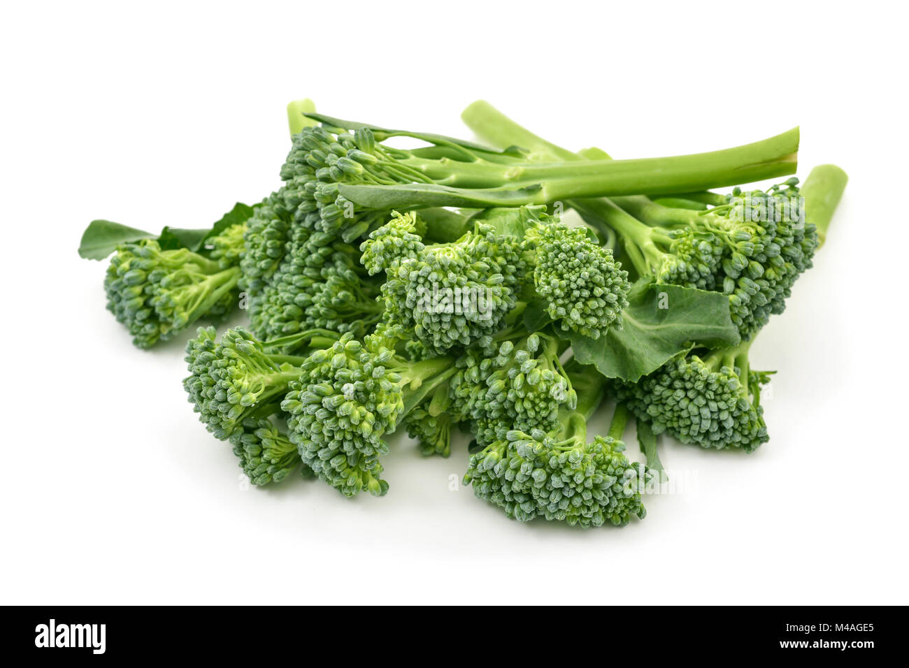 Acercamiento de algunos tallos de broccolini sobre un fondo blanco. Foto de stock