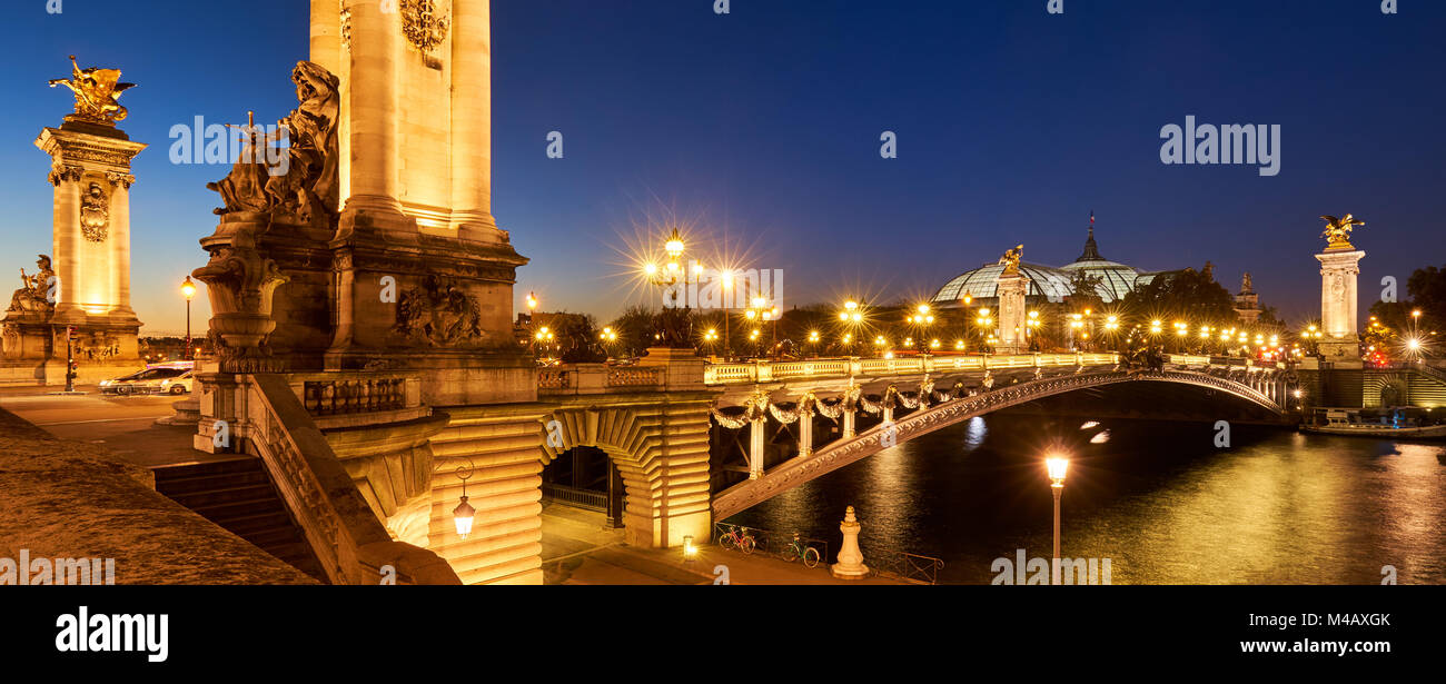 Vista panorámica del puente Alexandre III el puente iluminado en la noche con el río Sena. 8º arrondissement, París, Francia Foto de stock