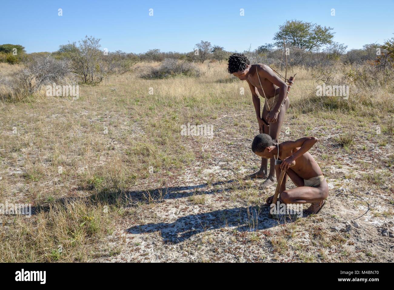 Los bosquimanos ju/' Hoansi-San sobre la caza tradicional con arco y flecha,lectura de pistas,pueblo //Xa/oba,cerca de Tsumkwe Foto de stock