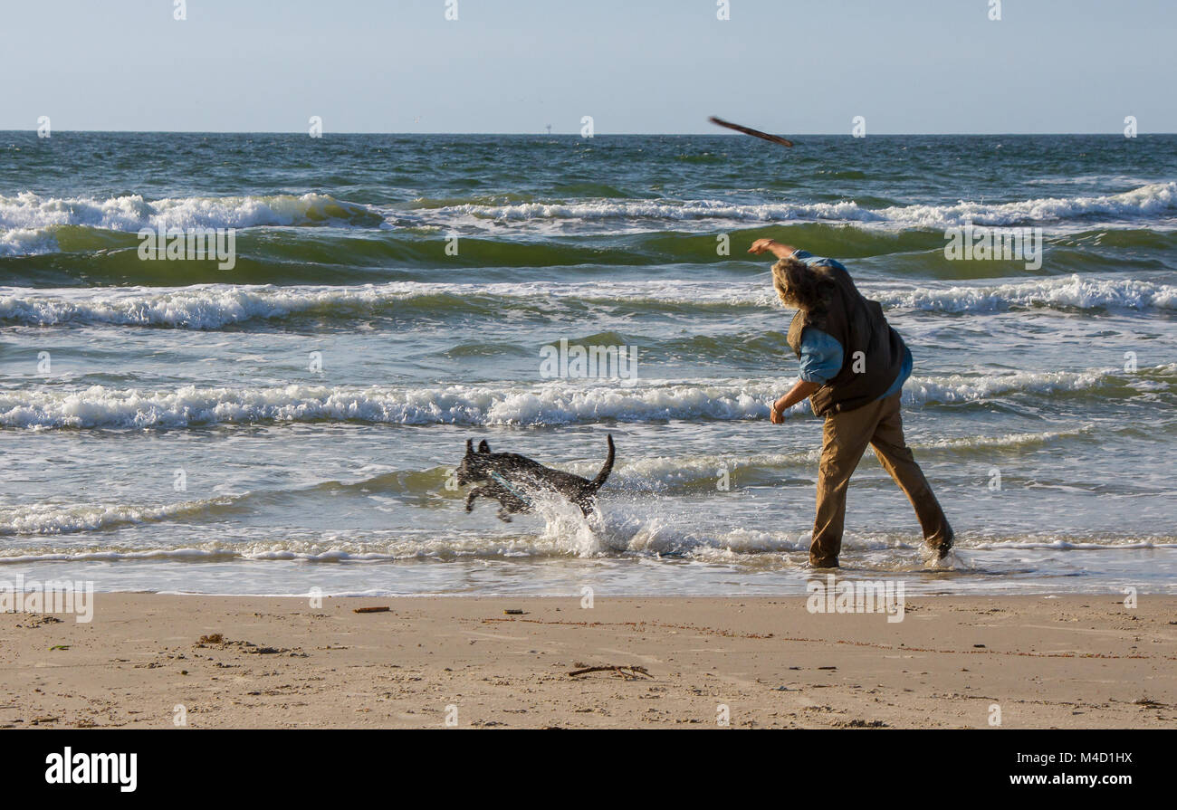 Un hombre americano Senior Citizen lanza un palo en el océano para su perro para recuperar. Foto de stock
