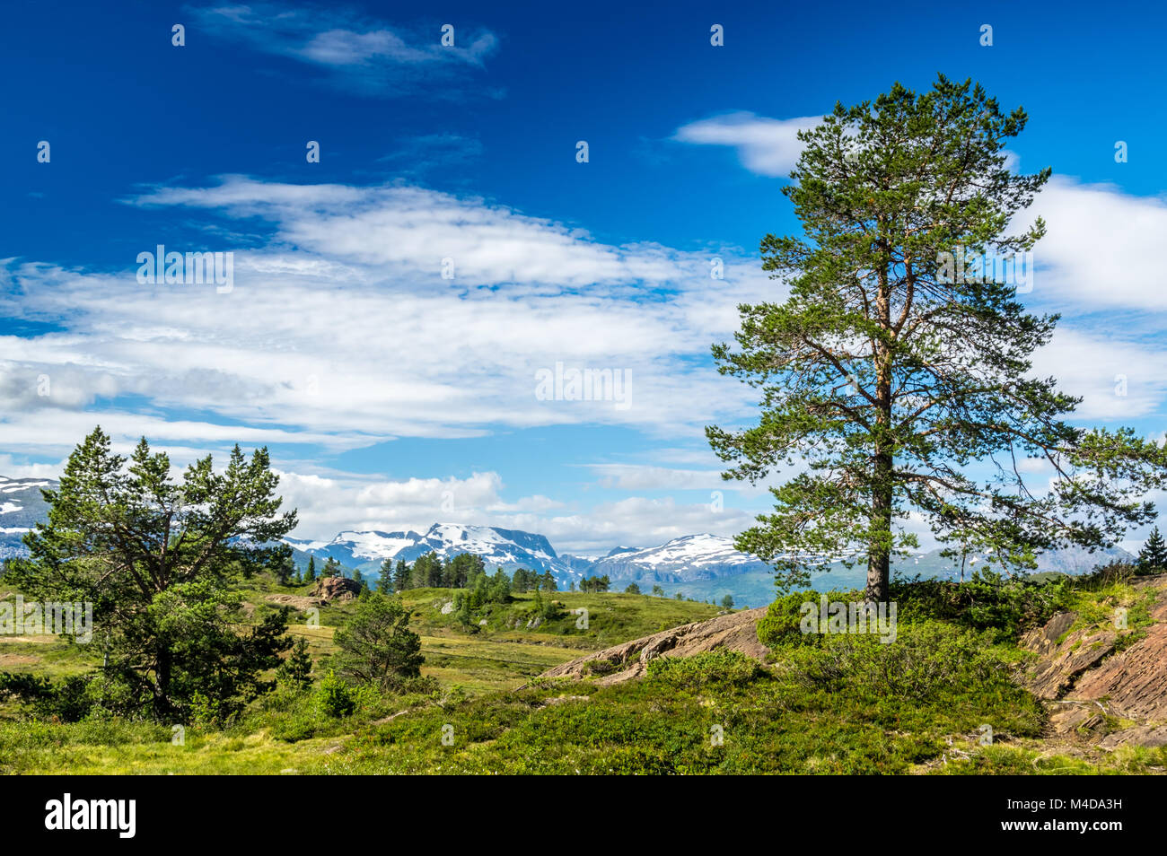 Paisaje de verano en Noruega Foto de stock