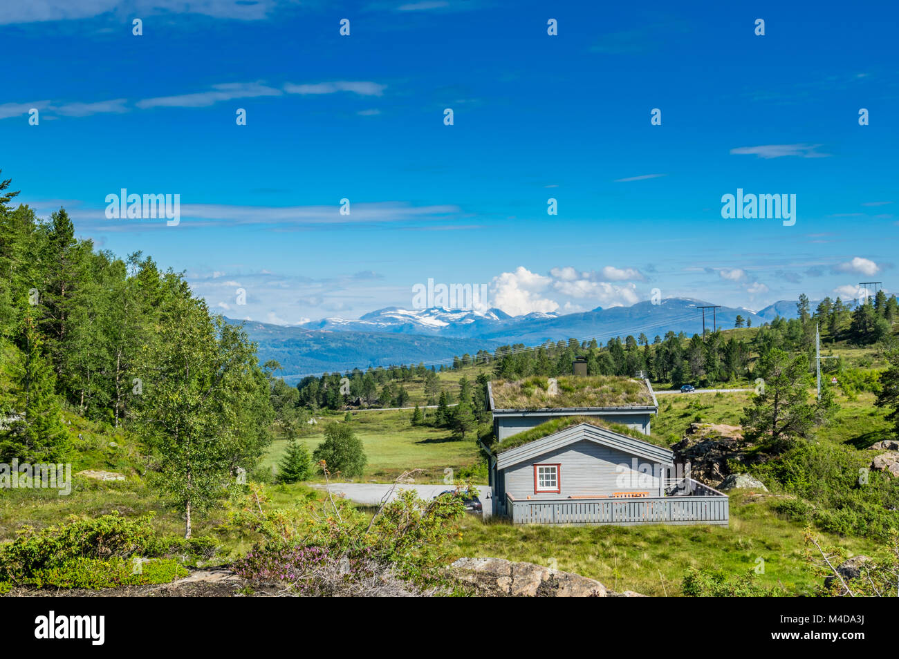 Paisaje de verano en Noruega Foto de stock