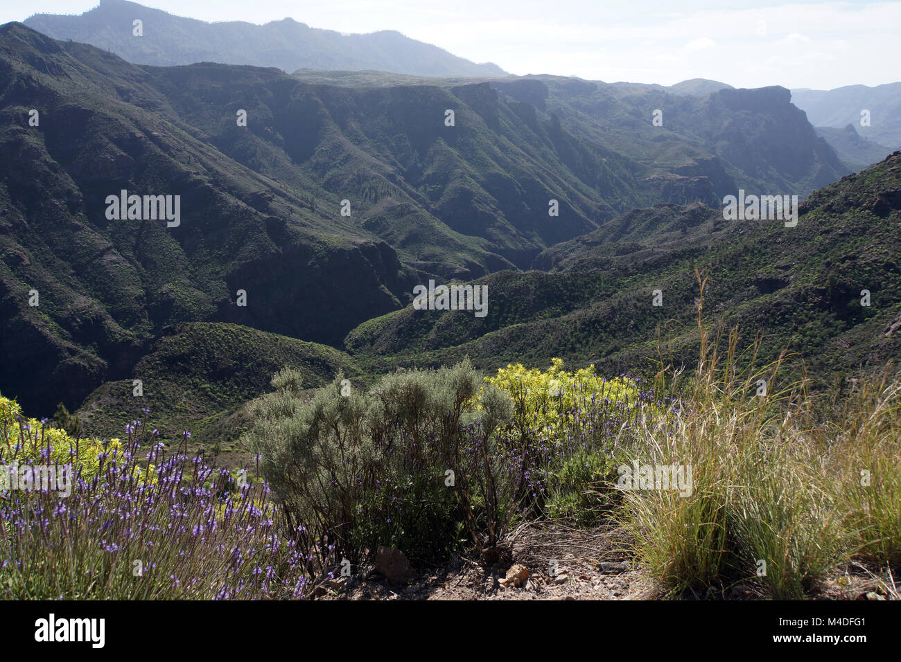 Mundo alpino en paisaje Parque Rural del Nublo Foto de stock