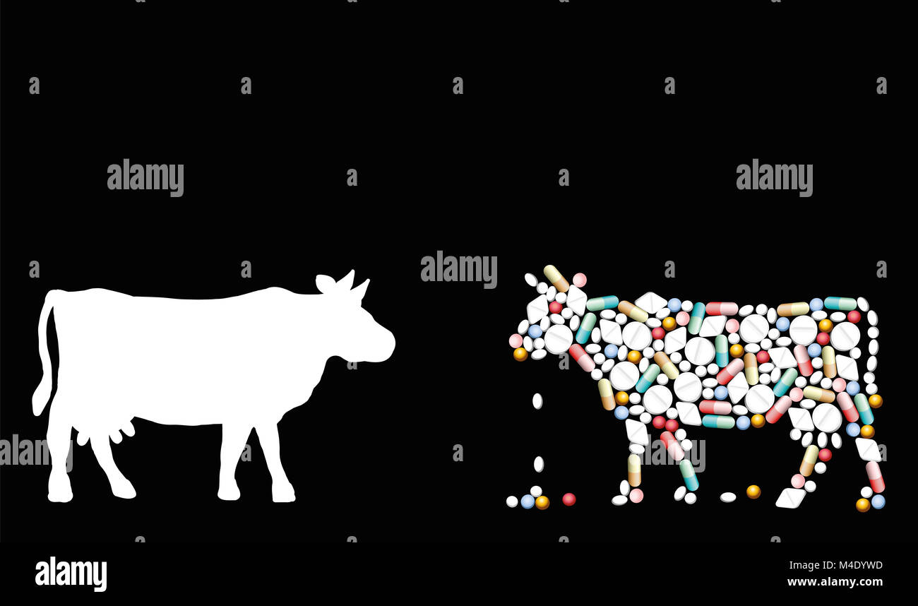 Las píldoras que forma una vaca. Símbolo de ganado temas de salud, medicina, farmacia, antibióticos y dieta - ilustración en negro backgrou Foto de stock