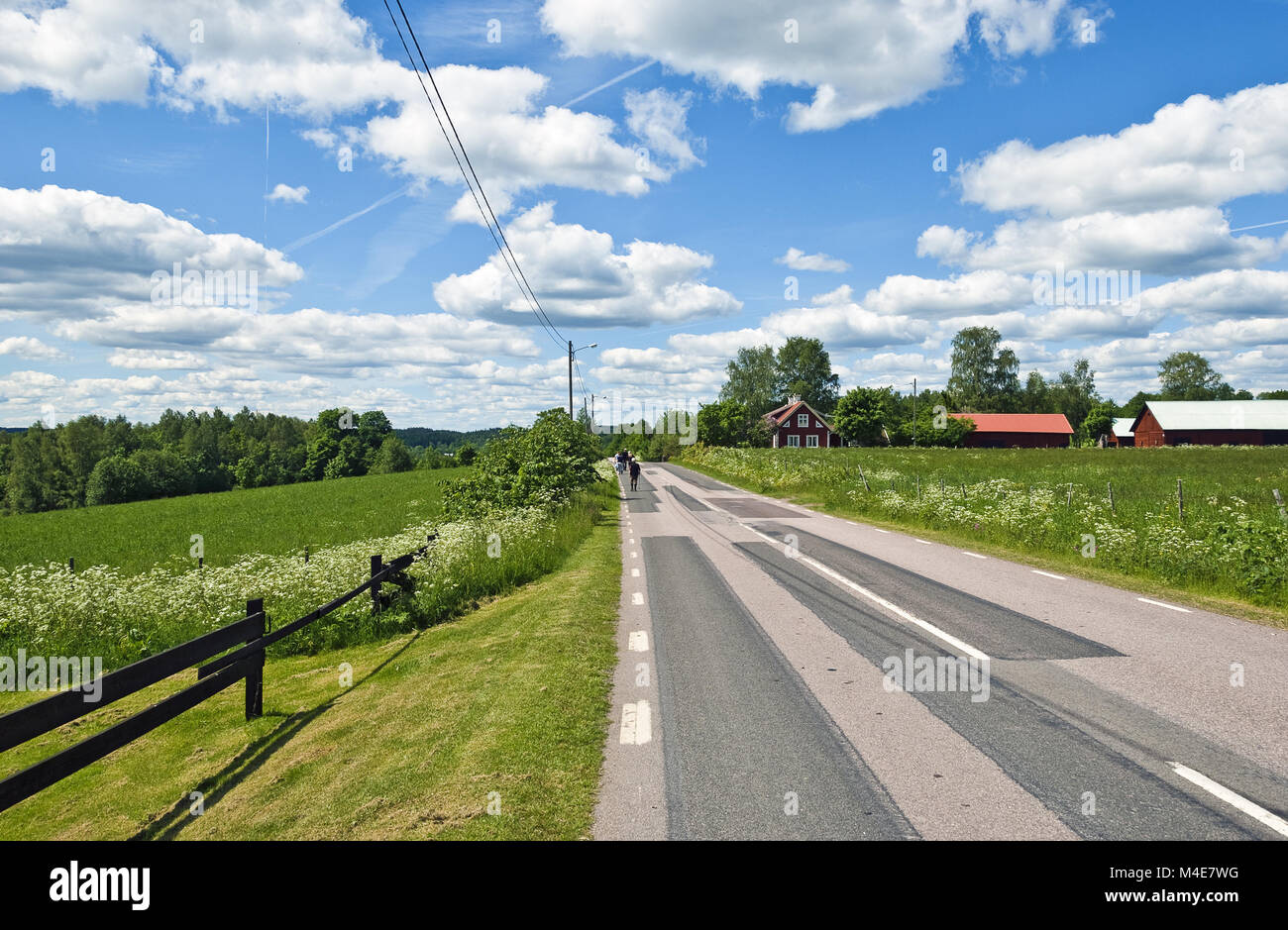Country Road en el sur de Suecia Foto de stock