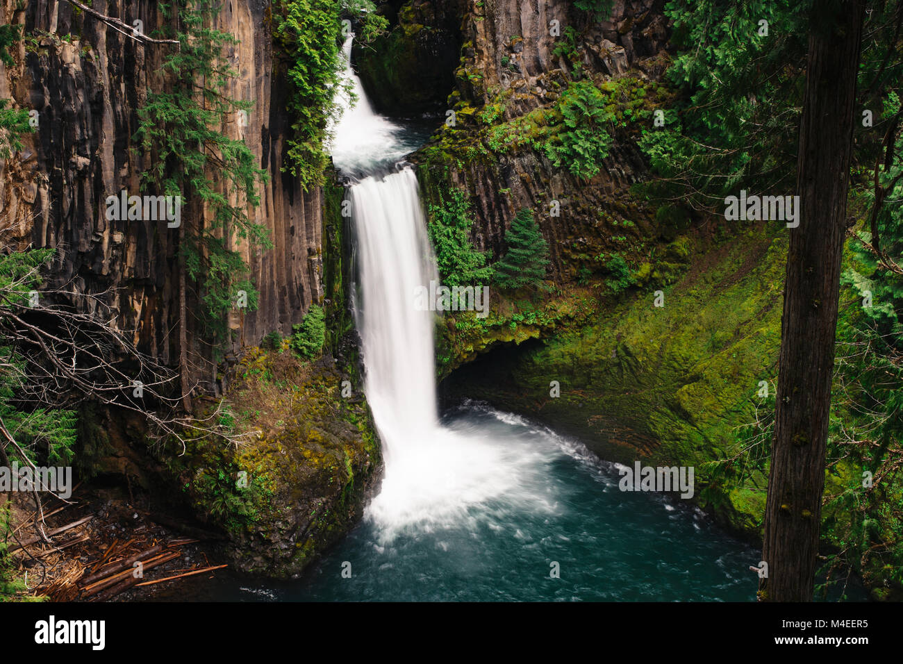Toketee Falls, Condado de Douglas, Oregon, Estados Unidos Foto de stock