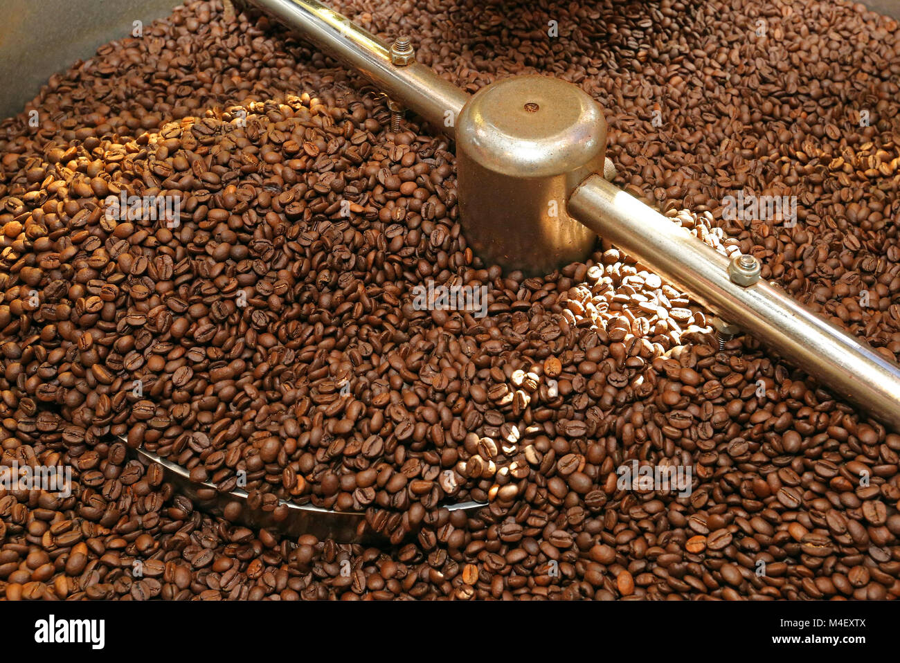 grano de café Foto de stock
