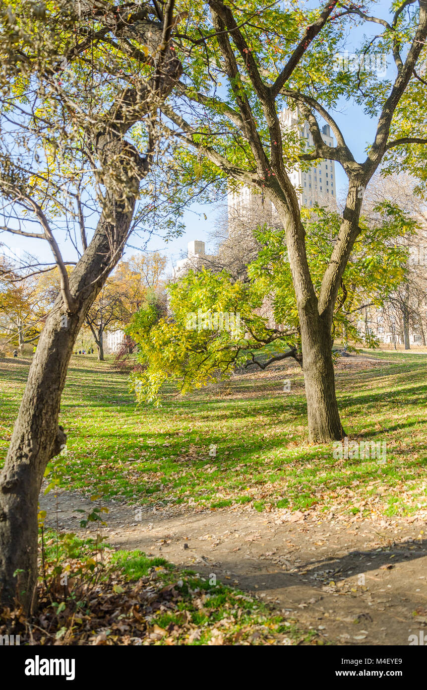 La Ciudad de Nueva York Manhattan Central Park panorama Foto de stock