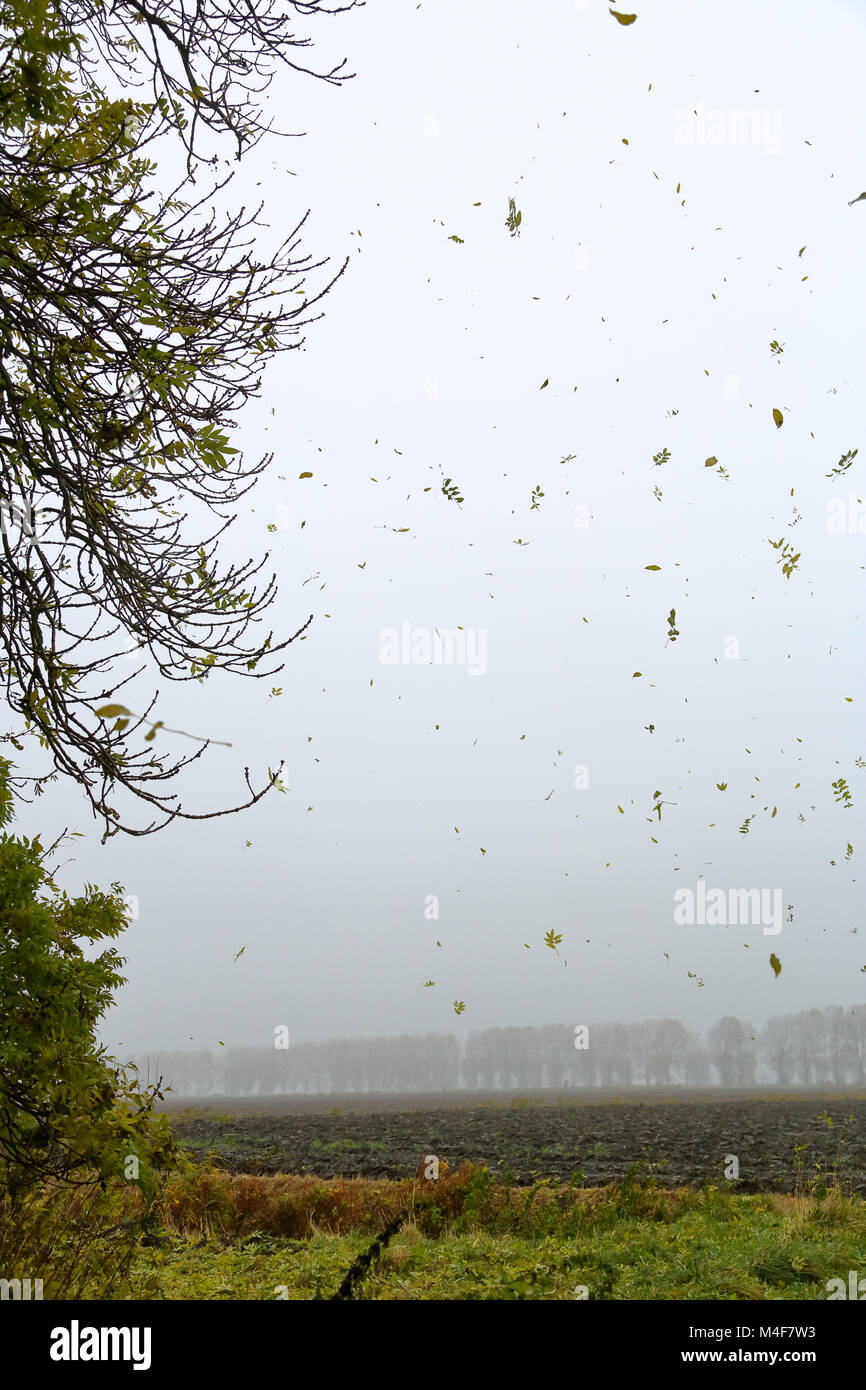 Deja volar en el viento fotografías e imágenes de alta resolución Alamy