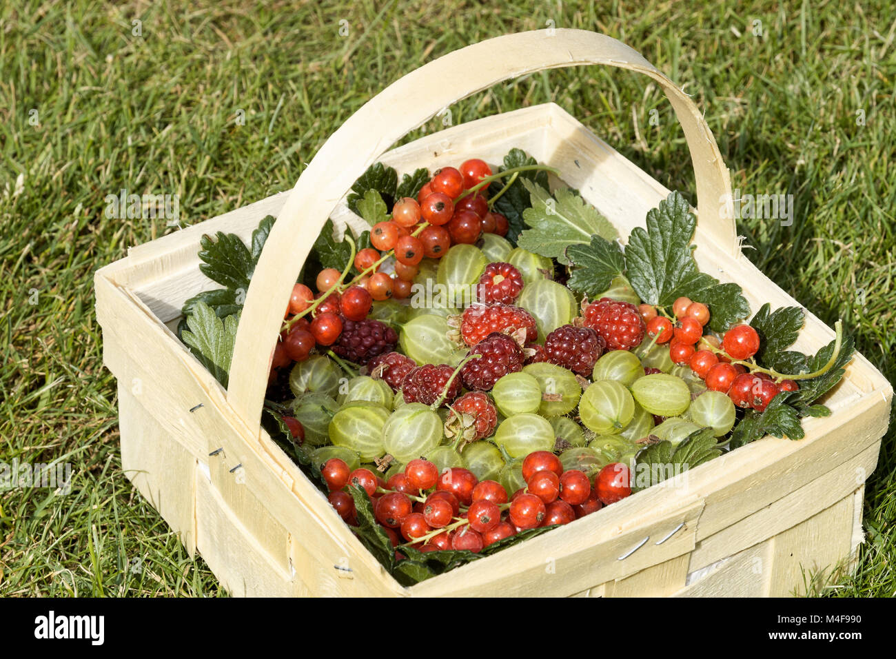Frutas en una canasta Fotos e Imágenes de stock Alamy