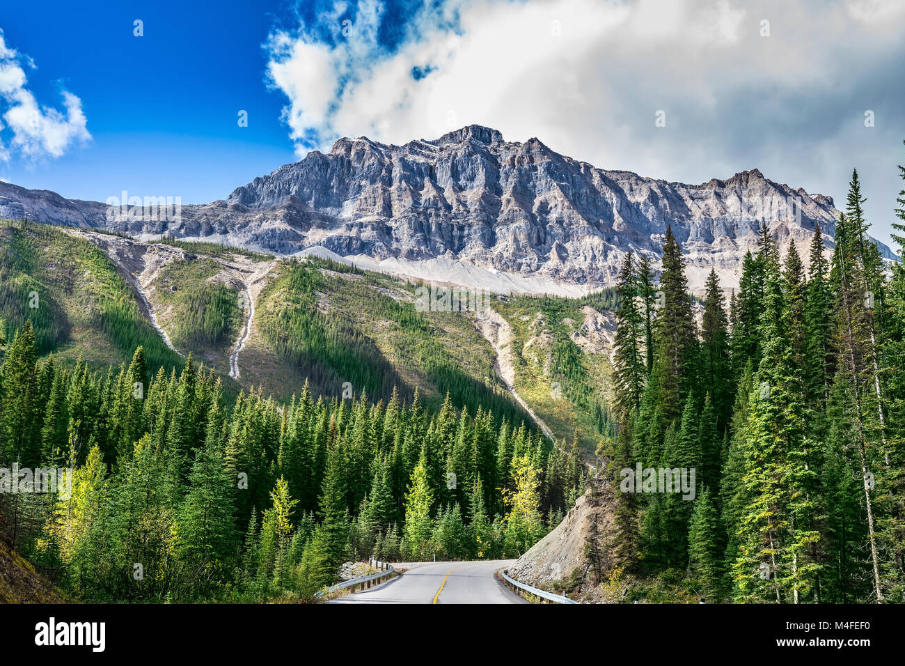 La carretera en el Parque Nacional Yoho en Canadá Foto de stock