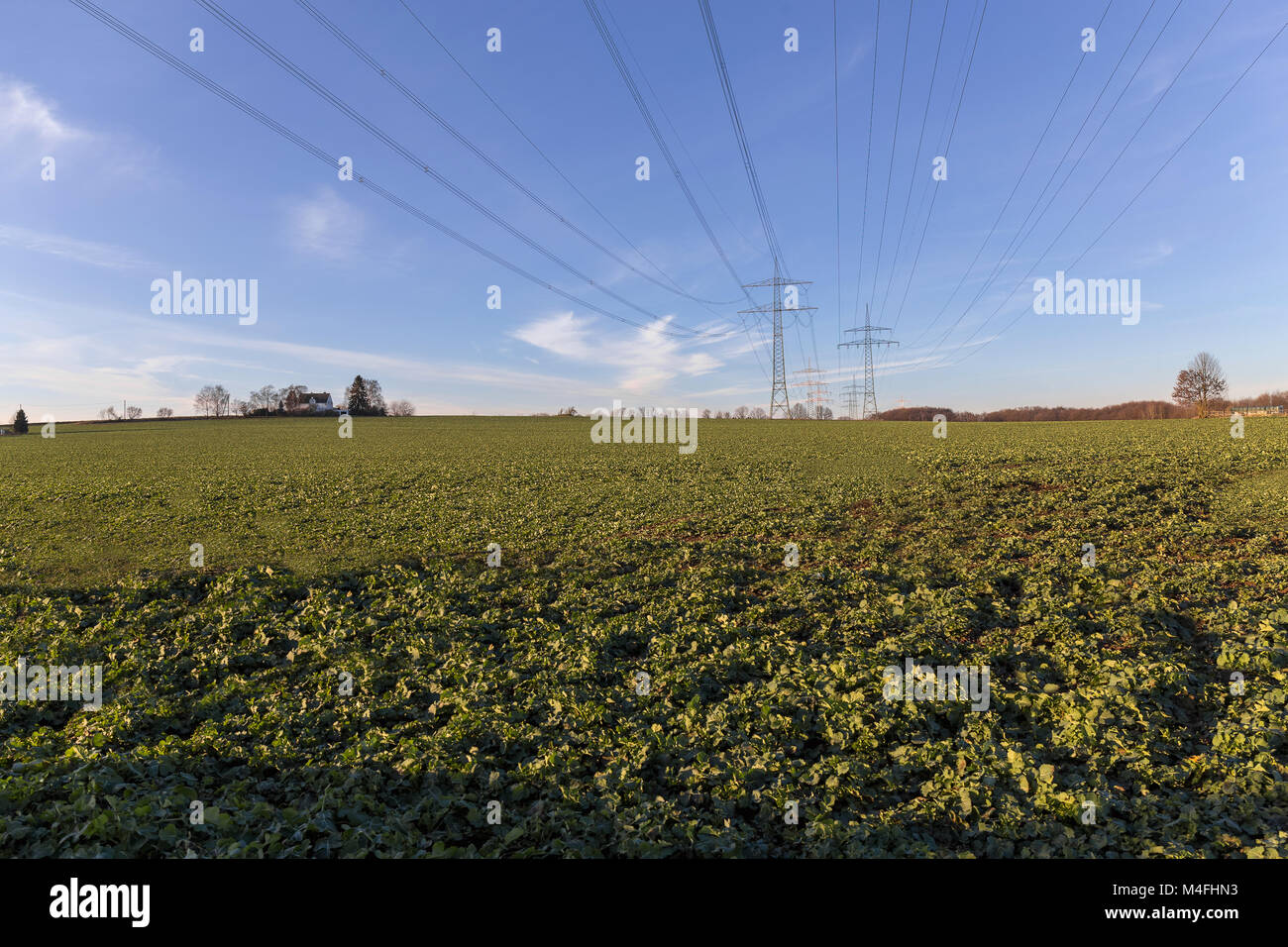 Línea de alimentación a través de un campo con el cielo azul Foto de stock