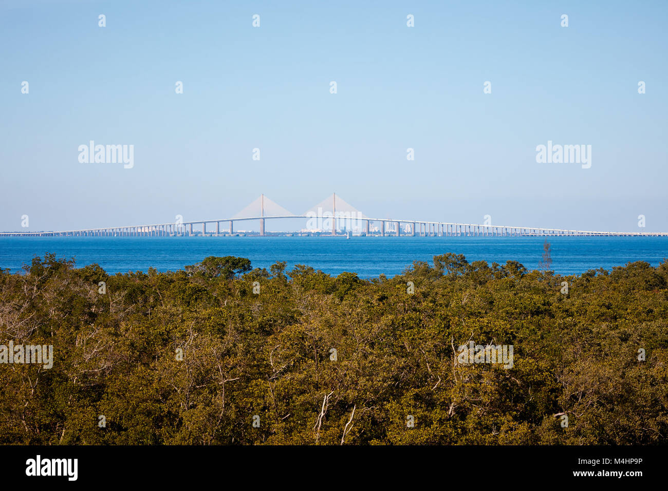 Sunshine Skyway puente sobre la bahía de Tampa visto desde Robinson preservar, Bradenton, Florida Foto de stock