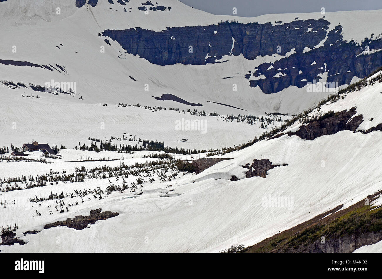 Junio , Logan Pass. Foto de stock