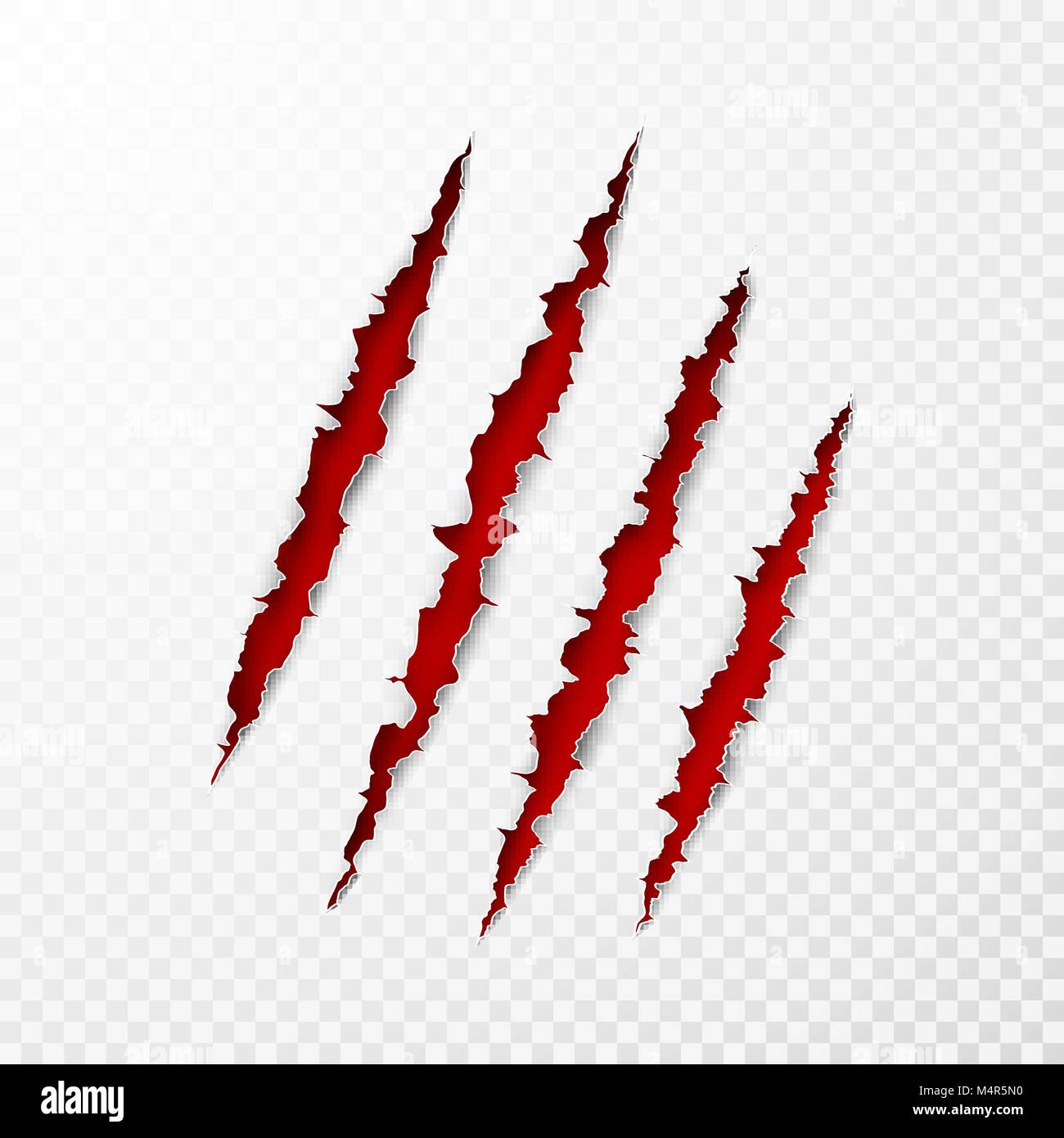 Scary leceration superficie del papel. Garras de animales salvajes cero textura con fondo rojo. Borde de papel rasgado. Ilustración vectorial aislado Ilustración del Vector