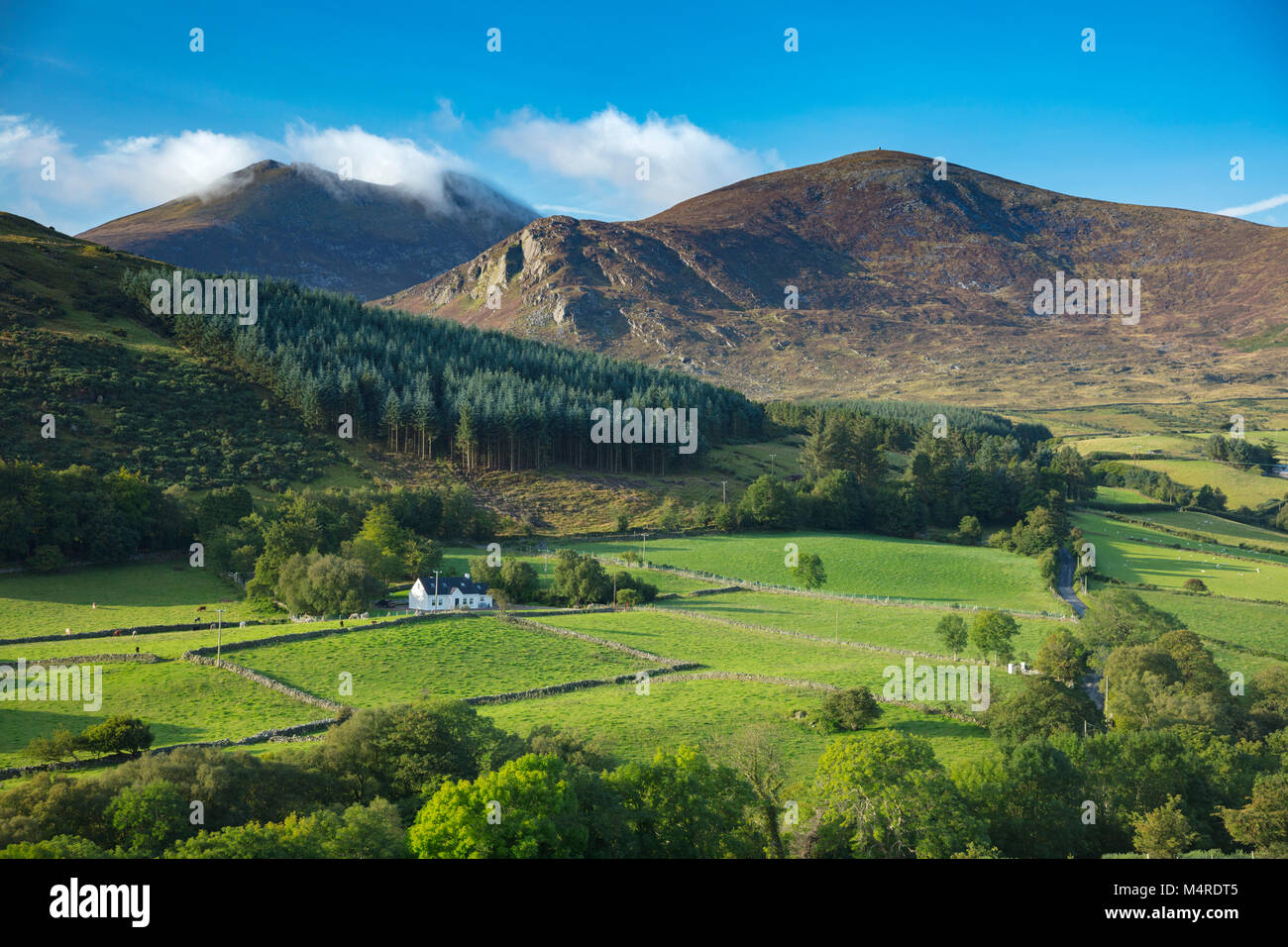 Los bosques y las tierras de cultivo bajo las Montañas Mourne, Condado de Down, Irlanda del Norte. Foto de stock