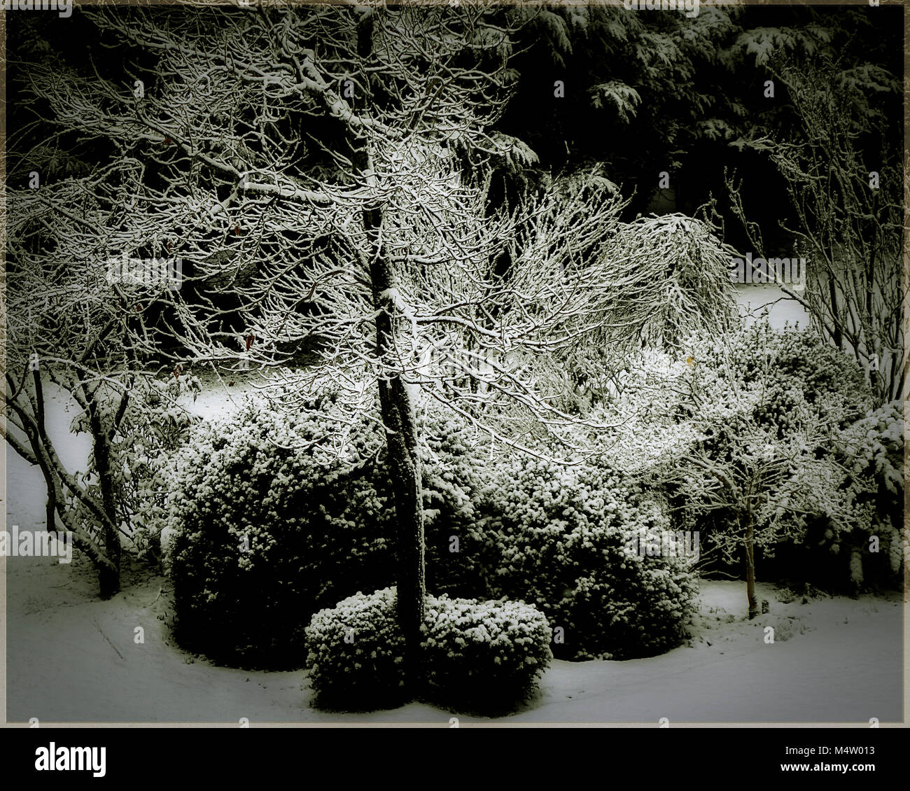 Fotografía: Invierno Foto de stock