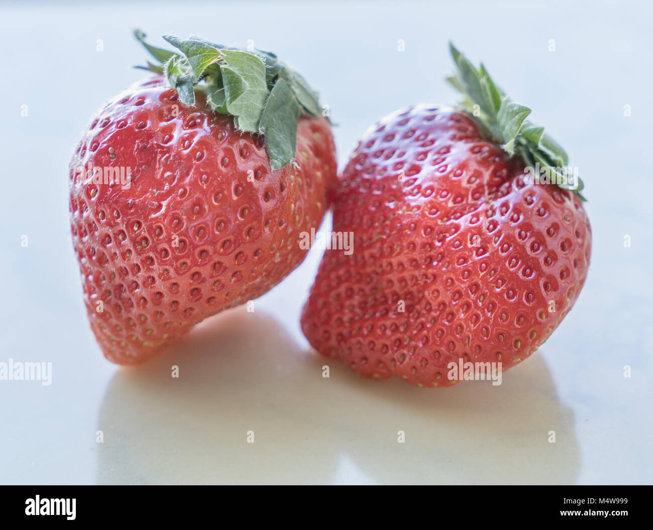 Cerca de fresas frescas sobre fondo blanco. Foto de stock