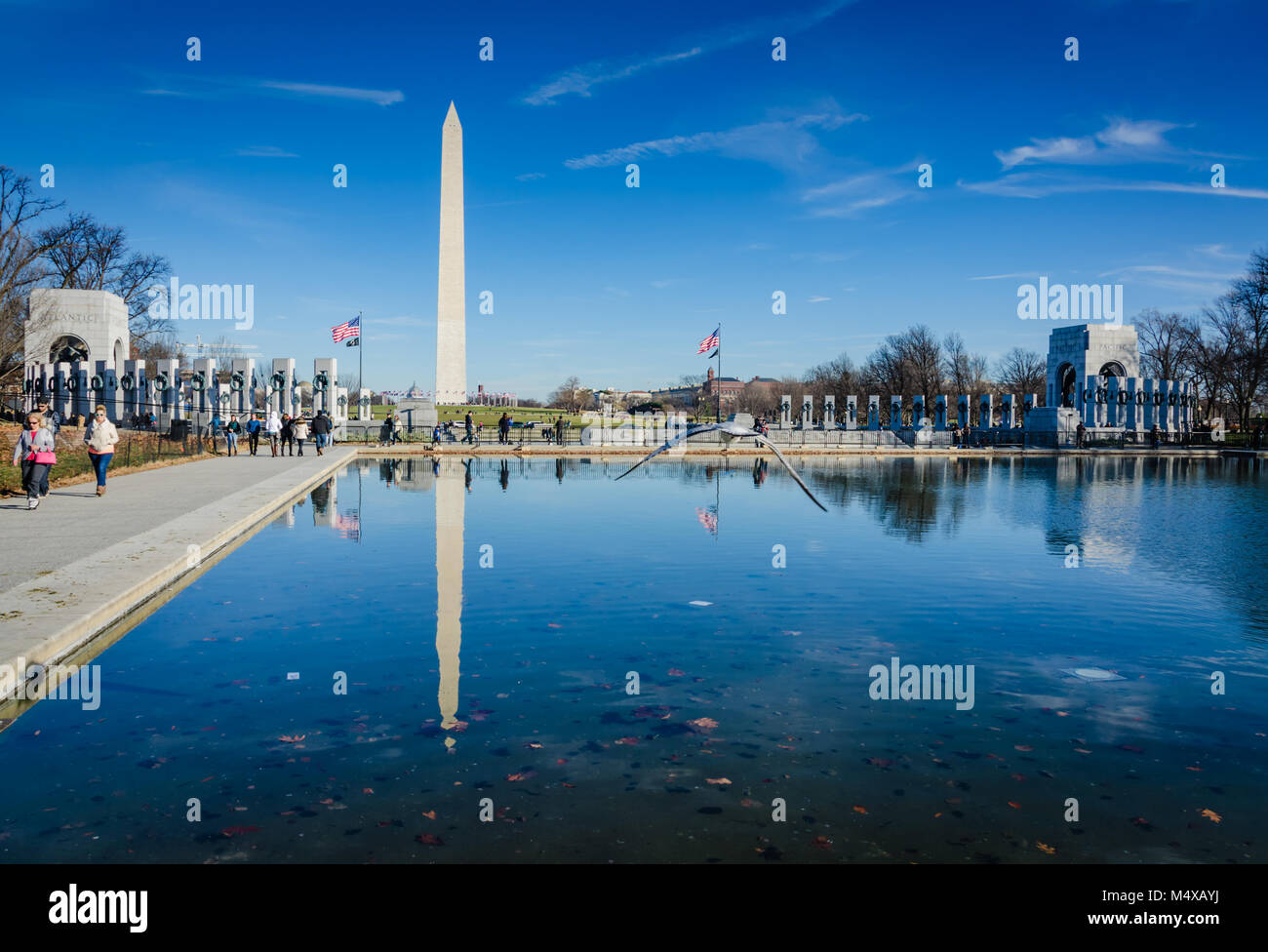 Reflexiones del Monumento a Washington, el Memorial de la Segunda Guerra Mundial, y una gaviota volando sobre la piscina reflectante en el National Mall en Washington DC. Foto de stock