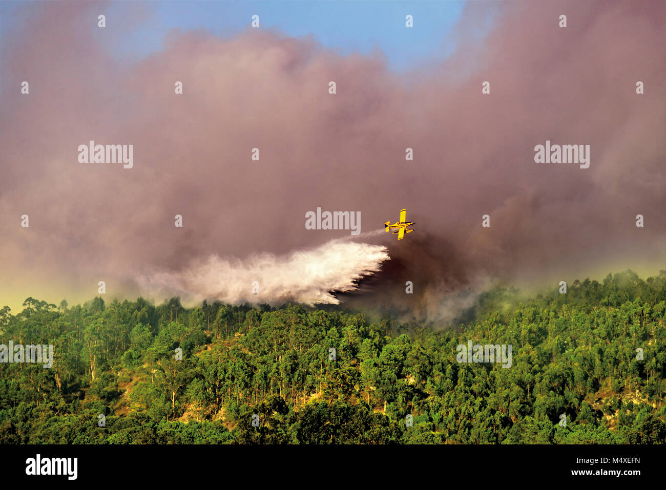 Plano de lucha contra incendios incendios forestales intentan manejar Foto de stock