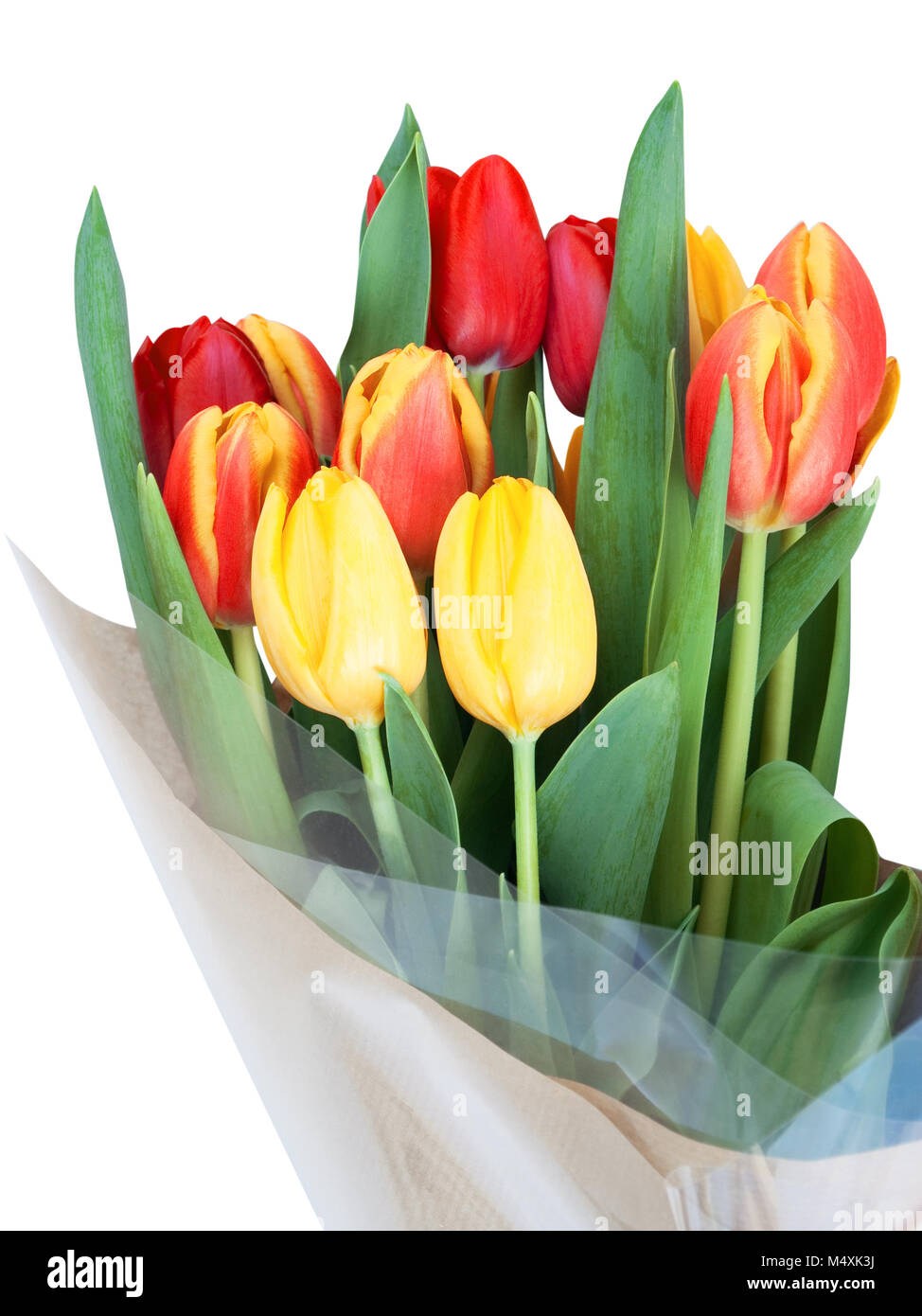 Ramo de tulipanes rojos y amarillos con hojas verdes, envueltos en celofán  y papel marrón. Aislado en blanco Fotografía de stock - Alamy