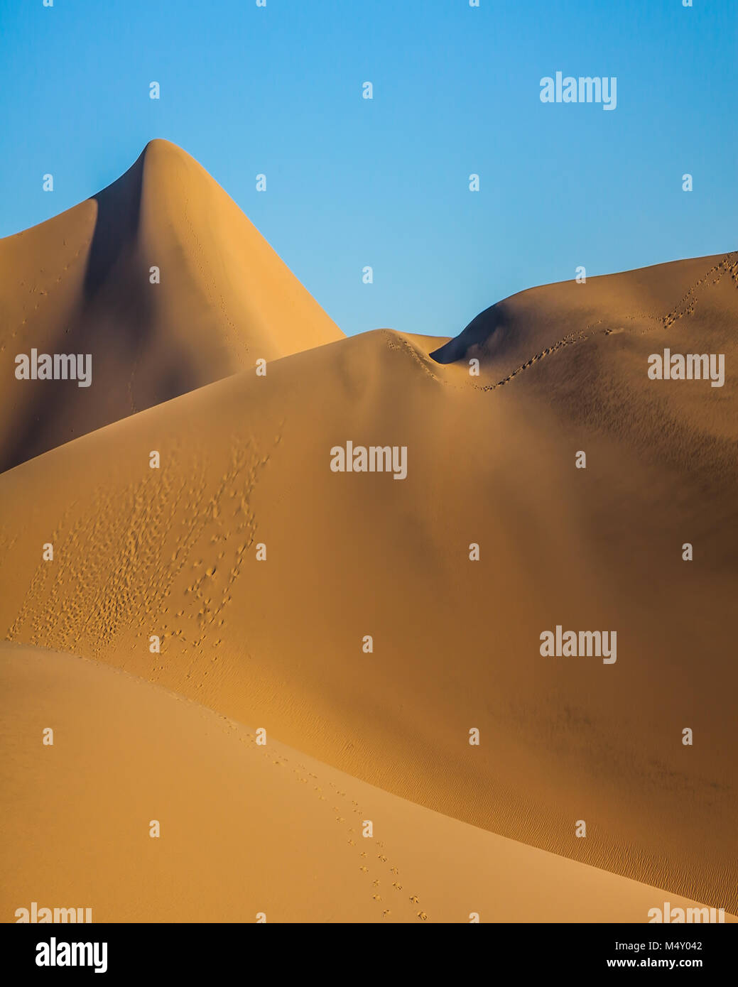 Mañana ventosa y caliente en el desierto Foto de stock