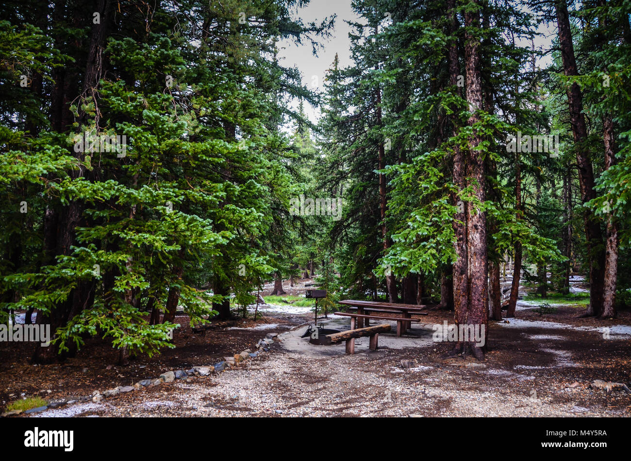 Camping amueblado con mesas de madera, barbacoa, chimenea, cuarto de baño y cercano en Wheeler Peak camping en White Pine County, Nevada. Foto de stock