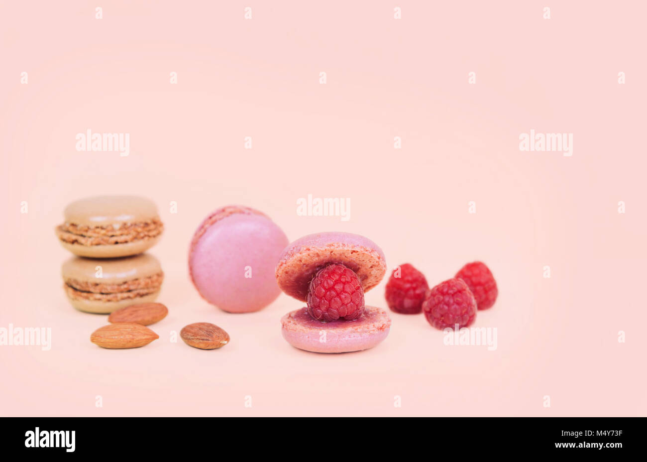 Macarons como un shell con frambuesa perla. Foto de stock