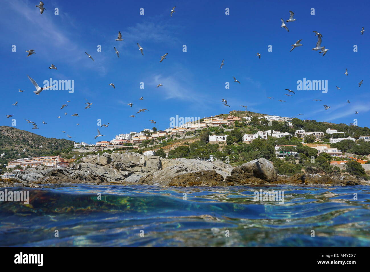 Mediterráneo gaviotas volando sobre una playa rocosa con edificios en el fondo, visto desde la superficie de agua, España, Costa Brava, Cataluña, Roses, Girona Foto de stock