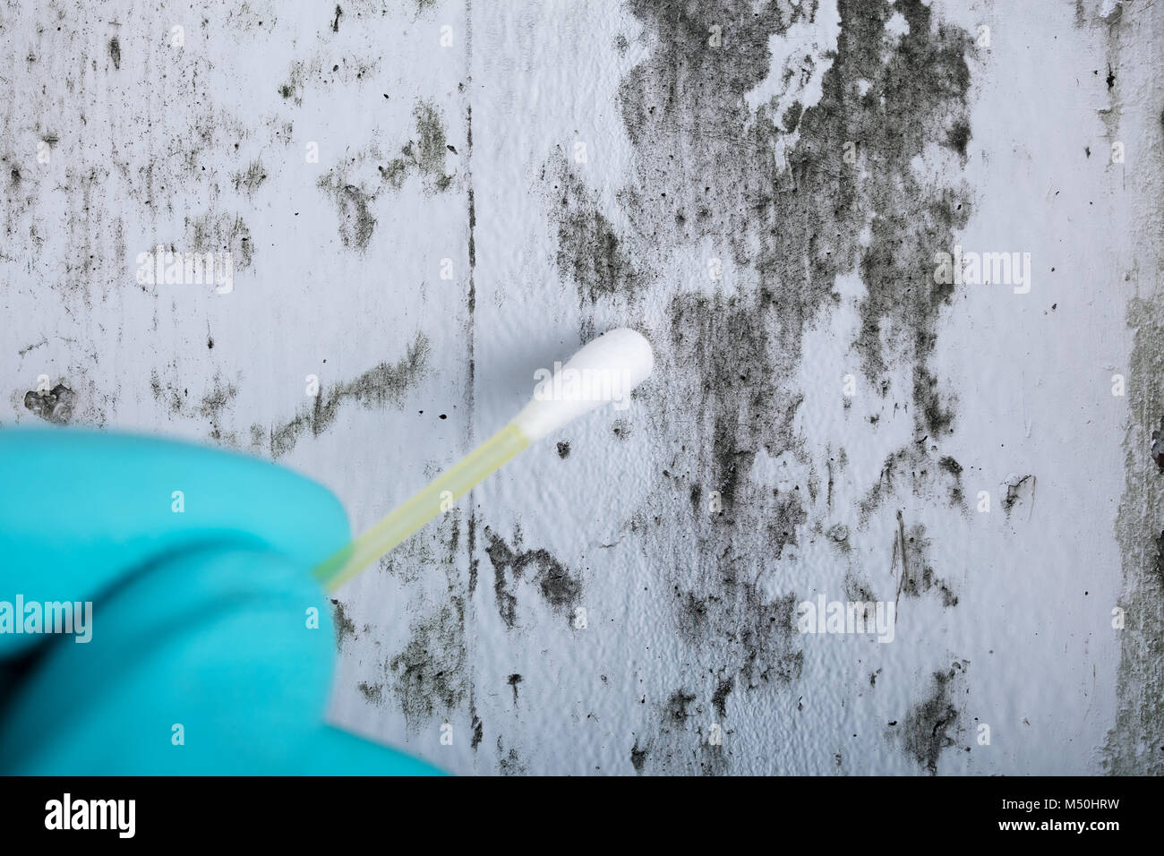 Cerca De La Mano Que Sostiene La Persona Bastoncillo De Algodon