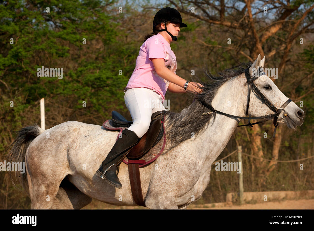 Adolescente equitación Foto de stock