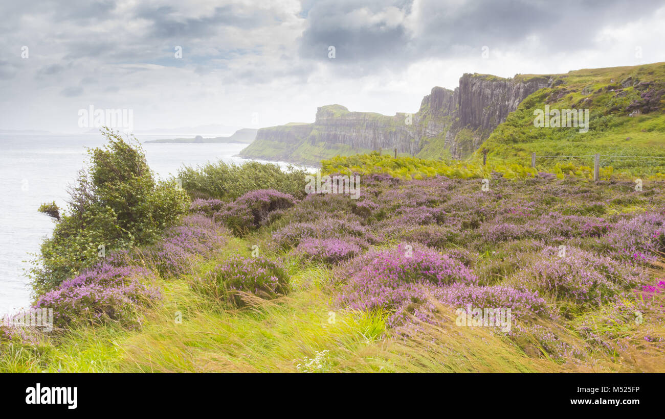 Acantilados con moore isla de Skye Escocia en verano Foto de stock