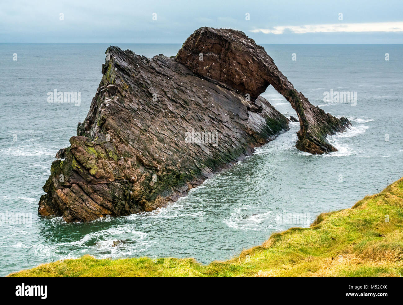 Arco de violín, Portknockie Rock, Moray, Escocia, Reino Unido. Desgaste natural espectacular arco de mar Foto de stock
