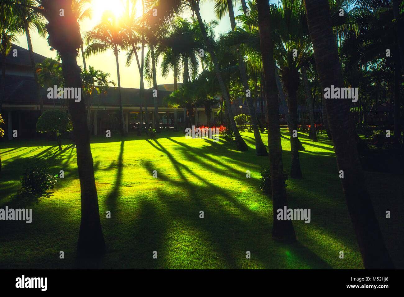 Jardín tropical en el Caribe resort hotel en Punta Cana, República Dominicana. Foto de stock