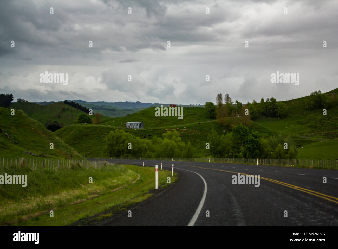 Ondulantes colinas verdes y exuberantes tierras de cultivo fotografías