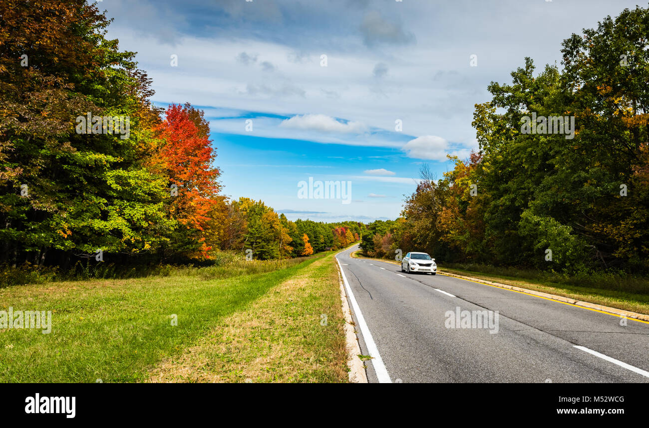 El follaje de otoño bordea el pintoresco Taconic State Parkway, el 104.12 km Autopista dividida entre Kensico Dam y Chatham, la más larga Parkway en NY. Foto de stock