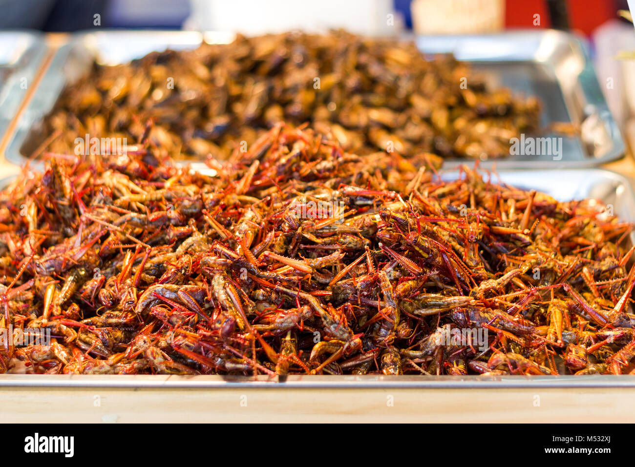 Insectos - Saltamontes Fritos crujientes de insectos, comida tailandesa en la comida de la calle mercado. Disponibles en el mercado. Foto de stock