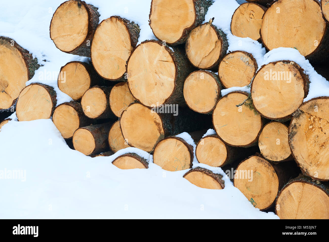 Fondo de madera natural - acercamiento de leña picada. La leña apilada y preparada para el invierno. Montón de troncos Foto de stock