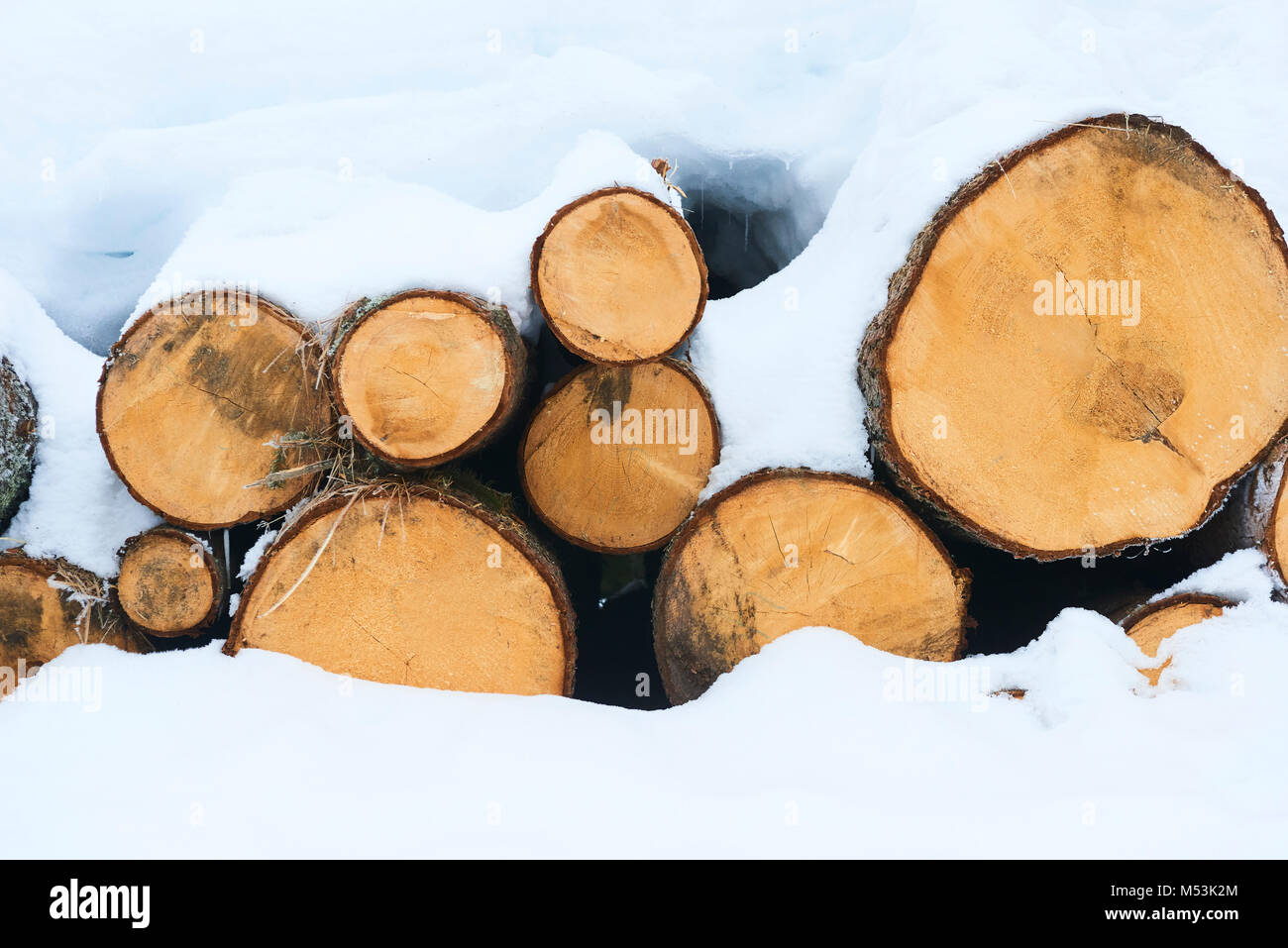 Fondo de madera natural - acercamiento de leña picada. La leña apilada y preparada para el invierno. Montón de troncos Foto de stock