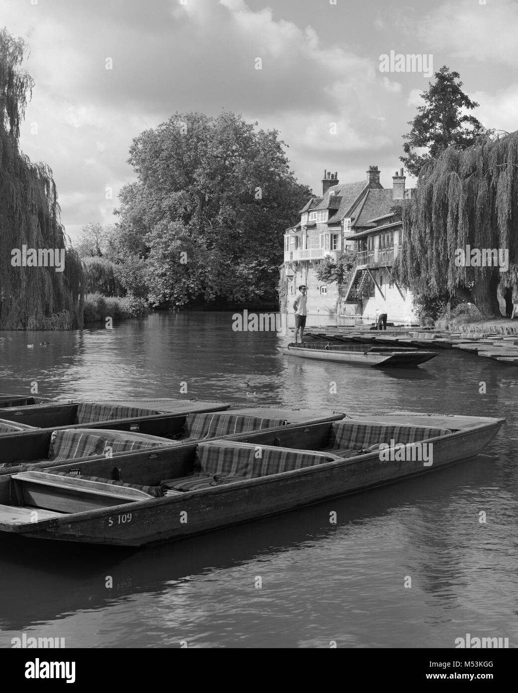 Punts amarrado en el río Cam por el antiguo granero de Darwin College de Cambridge Foto de stock