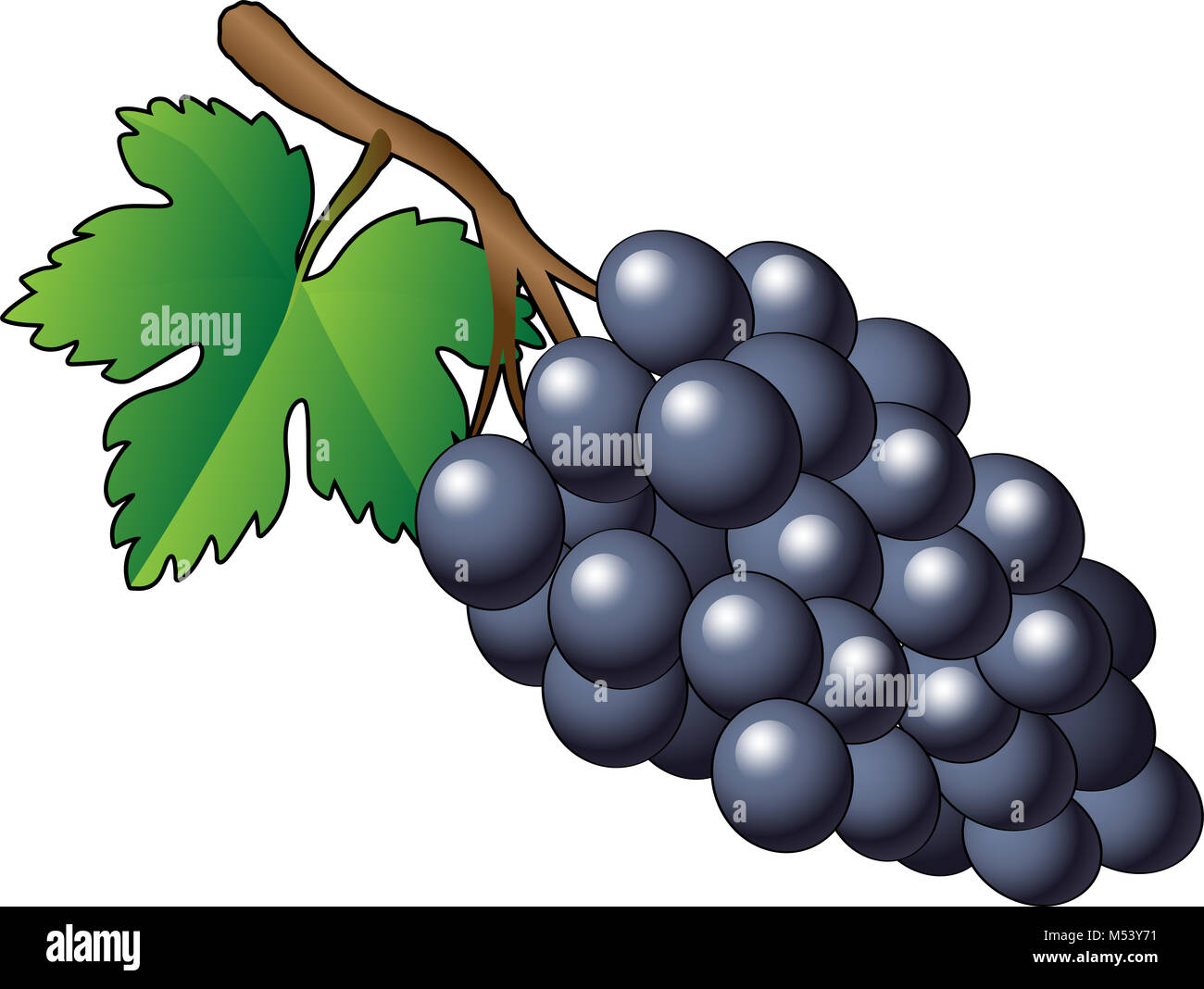 Racimo de uvas ilustración fotografías e imágenes de alta resolución - Alamy