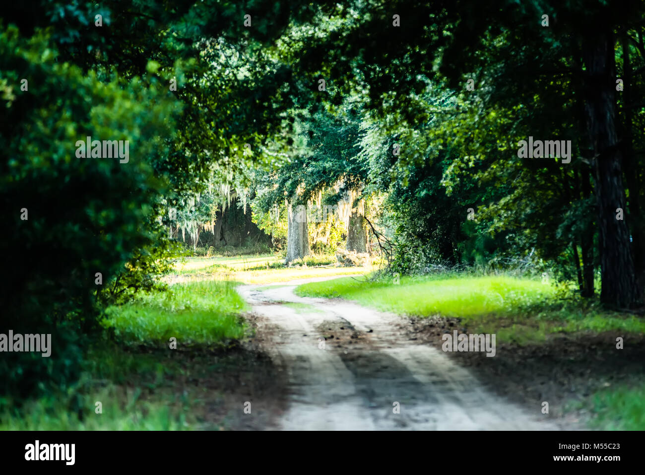 Escenas en Botany Bay Plantation cerca de Charleston, Carolina del Sur Foto de stock