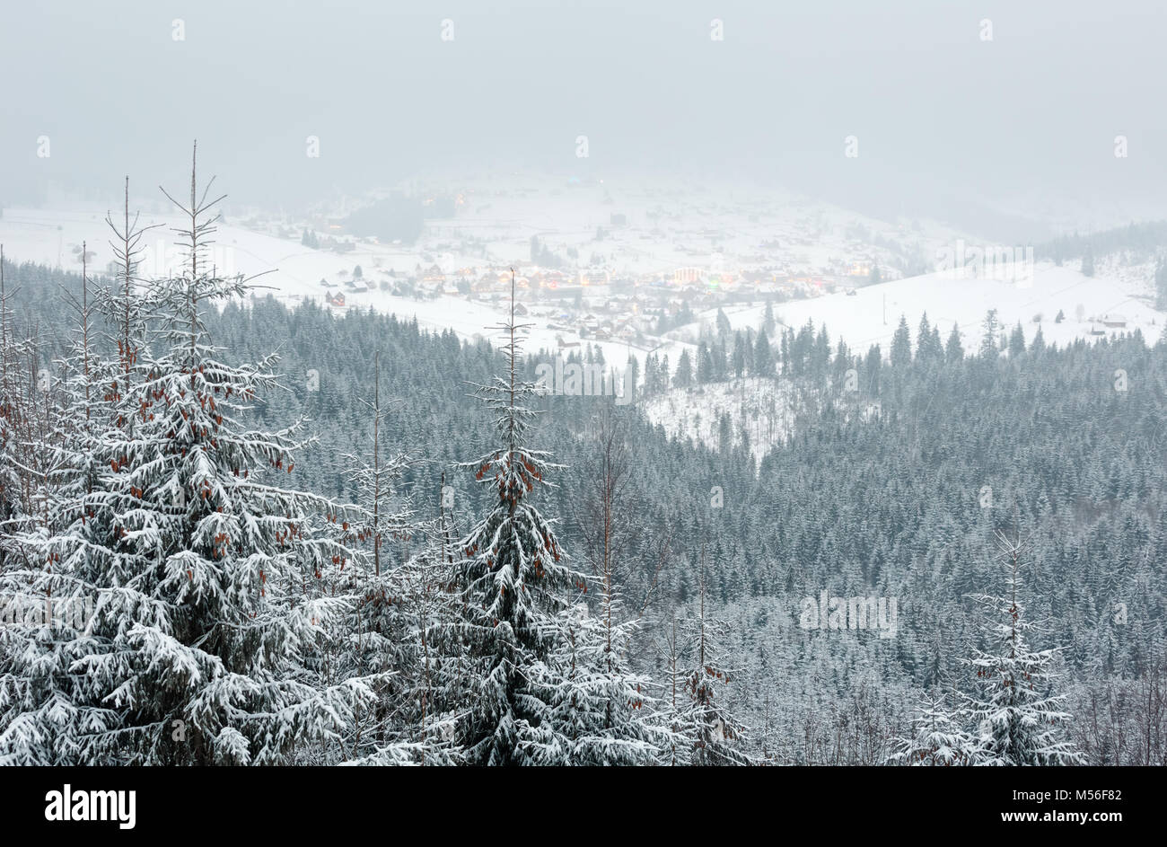 Temprano en la mañana de invierno al atardecer paisaje de montaña con glaseado bosque de pinsapos y deporte ski resort Bukovel-aldea en lejos (Cárpatos, Ucrania). Foto de stock