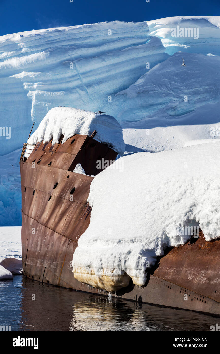 Naufragio ballenera noruega; Gouvenoren; Isla de empresa; la Antártida Foto de stock