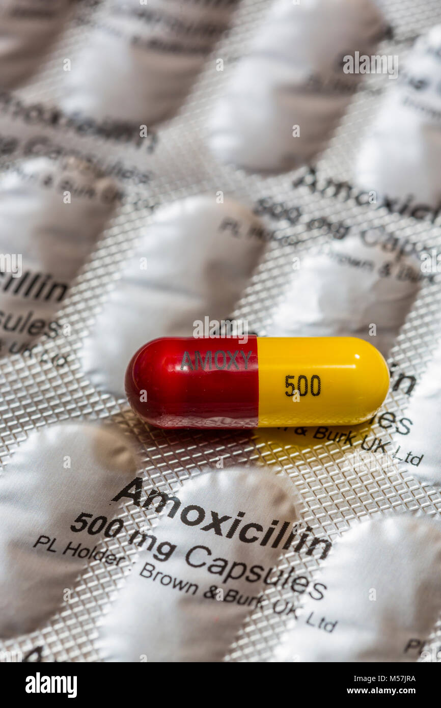 Amoxicillin pastillas